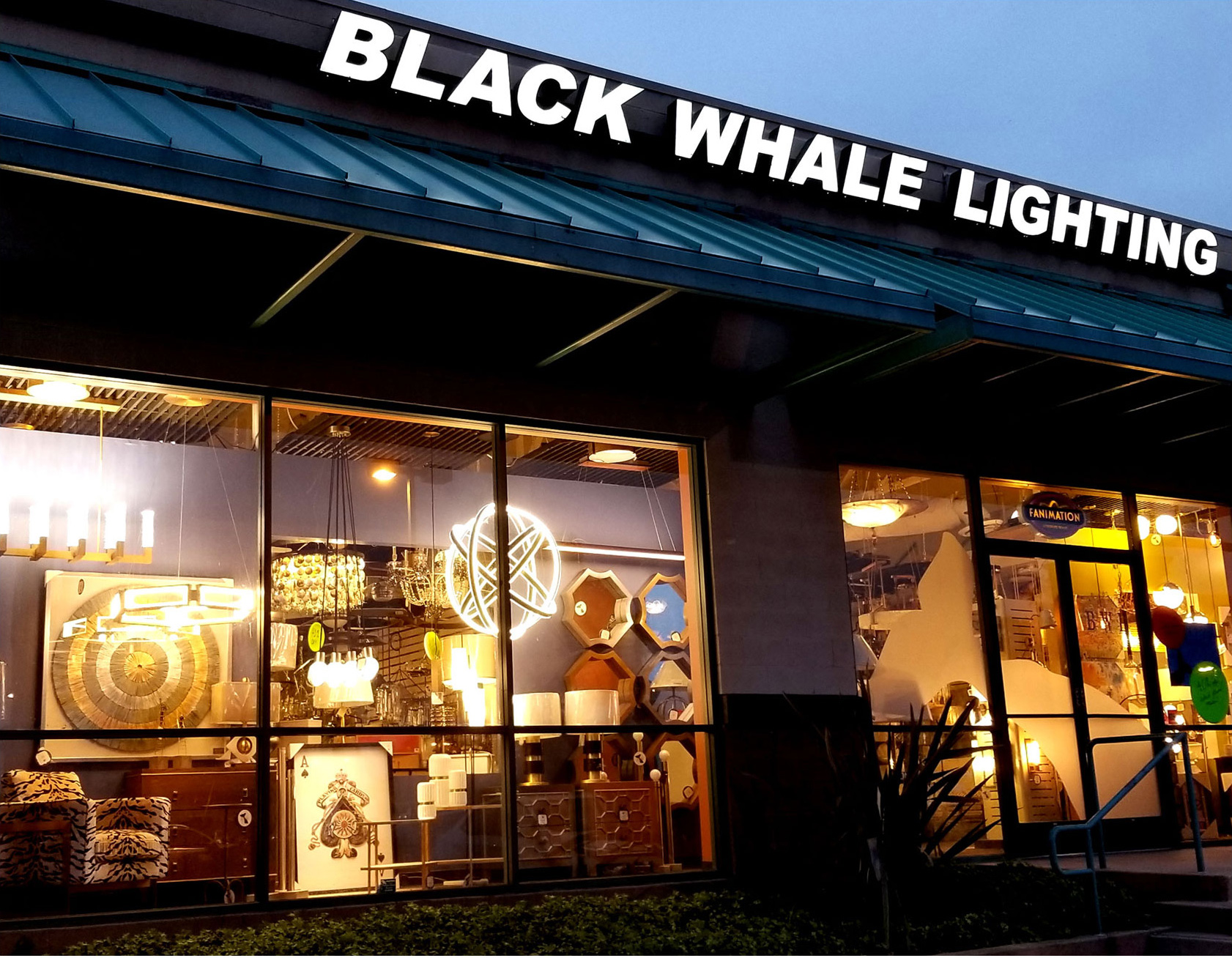 Black Whale Home Store